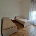 Guest house White 3*